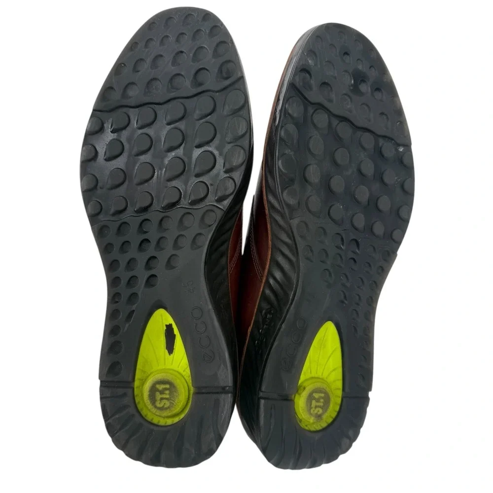 Ecco mens st